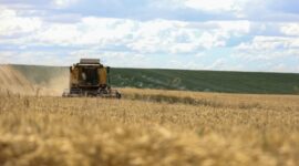 Оценена выгода Турции от зерновой сделки